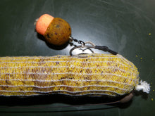 Charger l'image dans la galerie, Popup Dumbells fluo booster